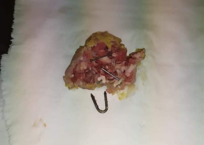Polpette ripiene di chiodi seminate per avvelenare i cani