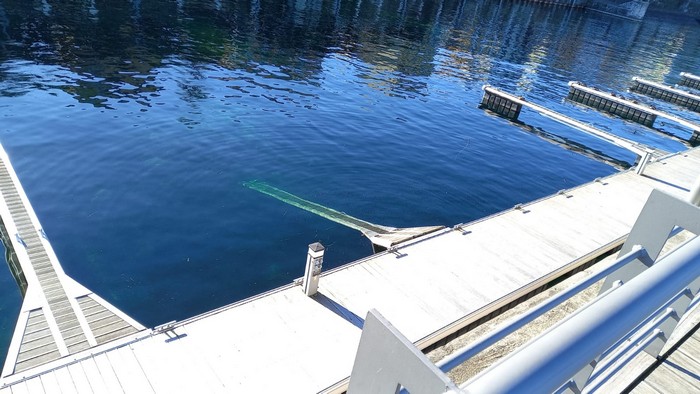 Niente soldi per il porto di Stresa, che intanto affonda