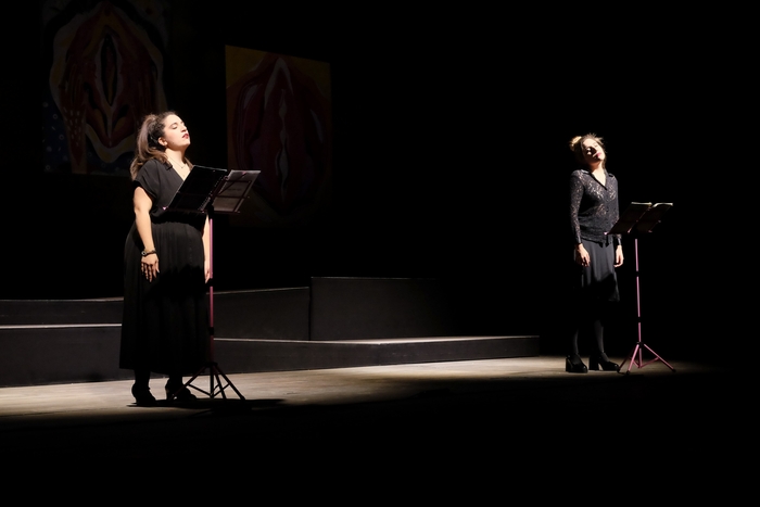 Al Maggiore di Verbania “I dialoghi della Vagina”