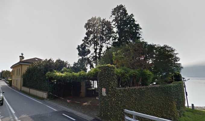 Alberi pericolanti, da abbattere i cipressi di Mr. Volkswagen