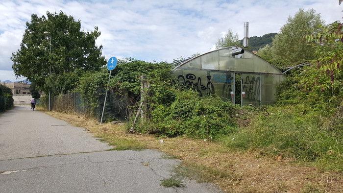 Sporcizia, degrado e siringhe nella serra abbandonata (foto)