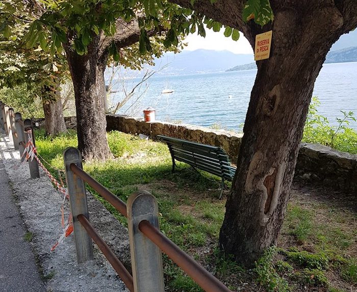 Belgirate inaugura il parco di Villa Conelli, le opposizioni preoccupate per la salute degli alberi