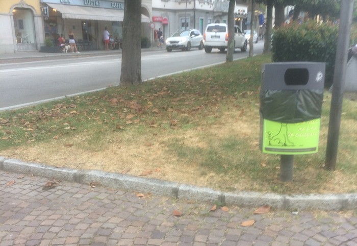 La segnalazione: “verde pubblico degradato e lungolago bruciato” (foto)