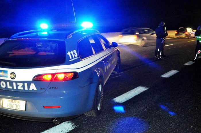 Pick-up in autostrada colpisce e uccide due caprioli