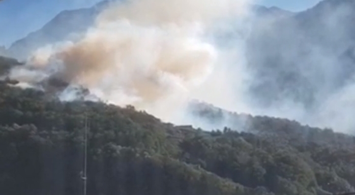Un incendio nel bosco alimentato dal forte vento