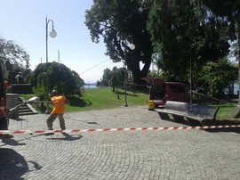 canforo pallanza esami